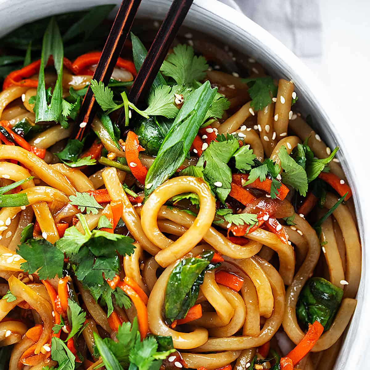 Thick white udon noodles in a savory Japanese broth